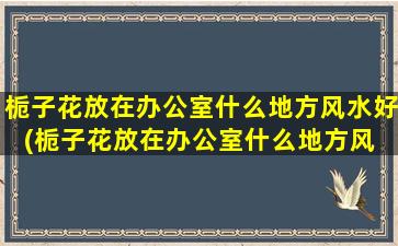 栀子花放在办公室什么地方风水好(栀子花放在办公室什么地方风 🐘 水 🐋 好一点)